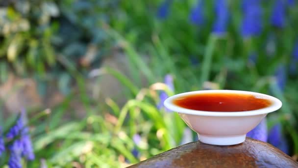 Чорний Чай Китайський Сад — стокове відео