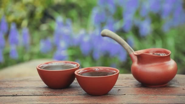 Schwarzer Chinesischer Teegarten — Stockvideo