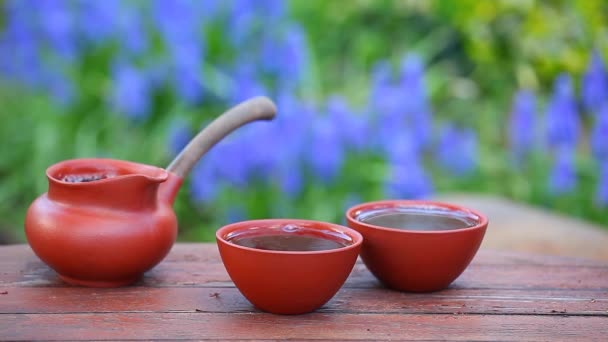 中国の黒茶の庭 — ストック動画