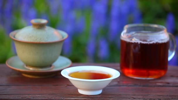 Black Chinese Tea Garden — Stock Video