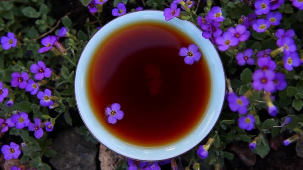 Black Chinese Tea Garden Flowers — Stock Video