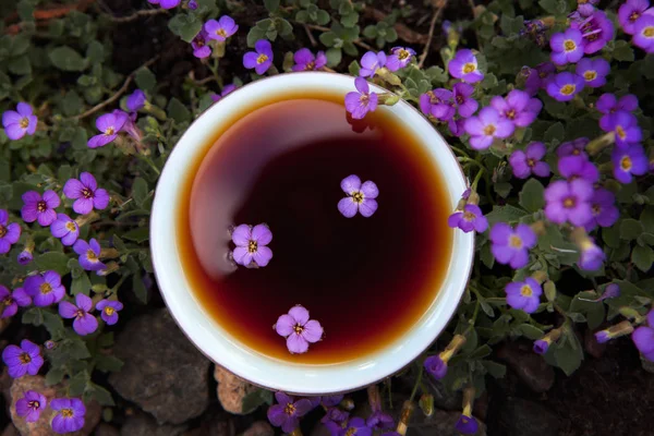 Chinese Zwarte Thee Tuin Bloemen — Stockfoto