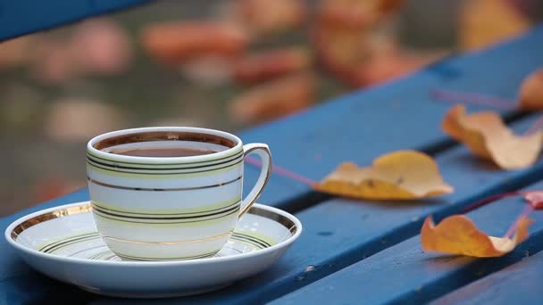 Гарячий Чай Чашка Лавка Осінній Лист Кадри — стокове відео