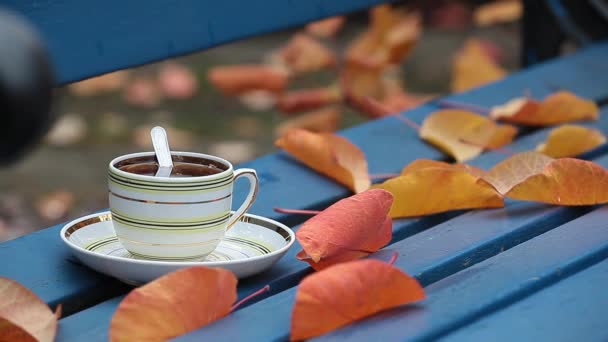 Hot Tea Cup Bench Autumn Leaf Footage — Stock Video