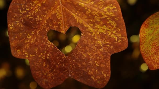 Jesień Suche Liść Złoto Bokeh Materiał — Wideo stockowe