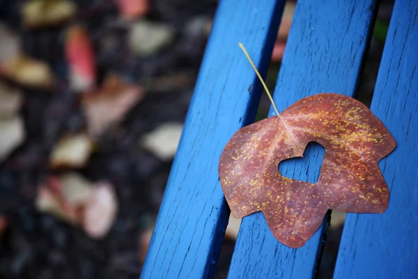 Herfst Blad Houten Bank Achtergrond — Stockfoto