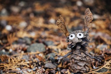 koni kuru thuja ağacı arkaplanı