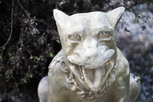 Piedra Perro Estatua Árbol Fondo — Foto de Stock