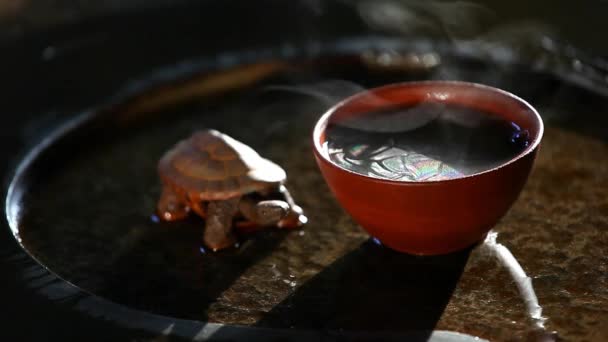 Preto Quente Xícara Chá Tartaruga Imagens — Vídeo de Stock