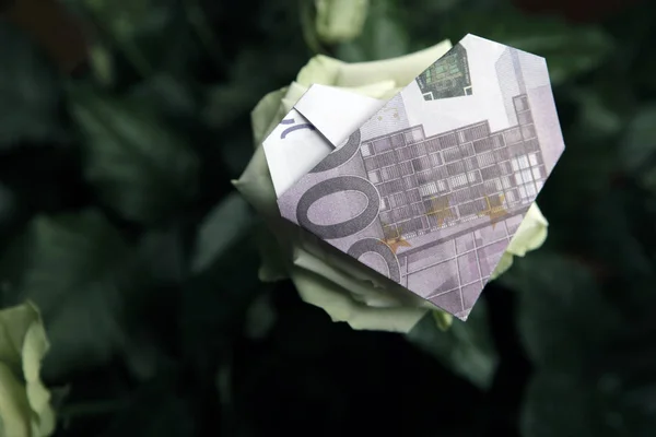 Pieniądze Róża Kwiat Ciemne Tło — Zdjęcie stockowe