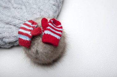 yün eldivenler beyaz arka plan 