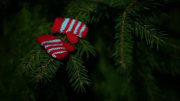 Guantes Lana Abeto Fondo Del Árbol — Vídeos de Stock