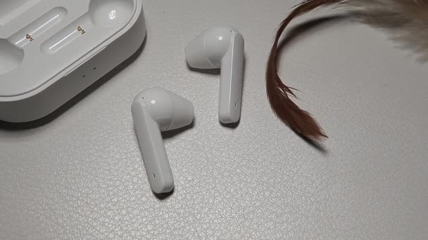 Ακουστικά Φτερό Λευκό Δερμάτινο Φόντο Πλάνα — Αρχείο Βίντεο