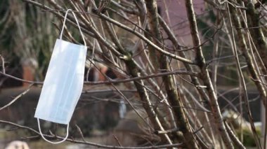 Maske ağacı arkaplanının görüntüleri 