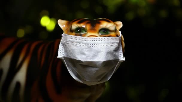 Beeldmateriaal Van Tijger Masker Donkere Achtergrond — Stockvideo