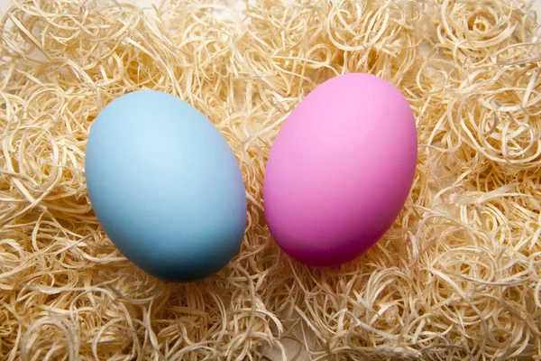 Image Easter Egg Wooden Shaving — Stock Photo, Image