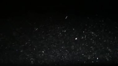 Toz koyu arkaplan görüntüleri 