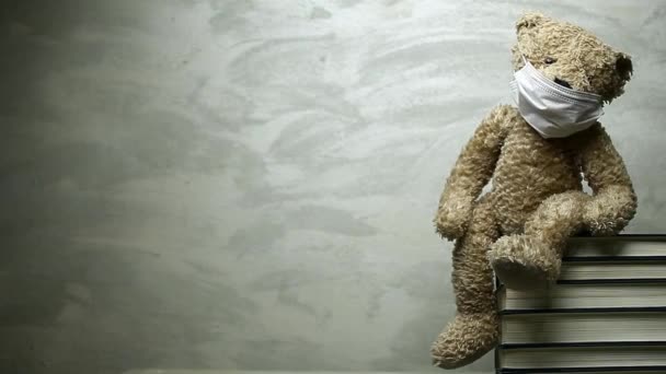 Materiał Filmowy Zabawki Niedźwiedź Książka Ostra Ściana — Wideo stockowe