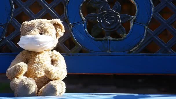 玩具熊面具长椅的镜头 — 图库视频影像
