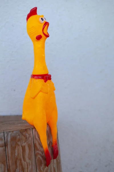 Obraz Zabawki Gumowe Kurczaka — Zdjęcie stockowe