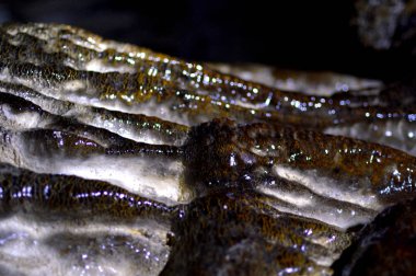 arka ışık sarkıt Mağarası