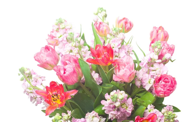 Bouquet of pink tulips with Matthiola incana — Stock Photo, Image