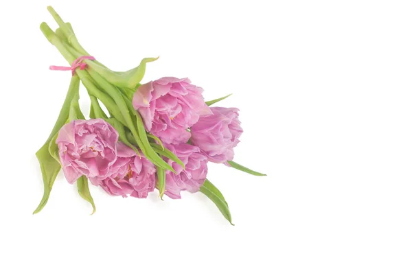 Kleine boeket van roze tulpen — Stockfoto