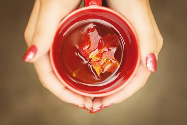 Foglie autunnali e tazza fumante calda nelle mani femminili. Stagionale, lu — Foto Stock