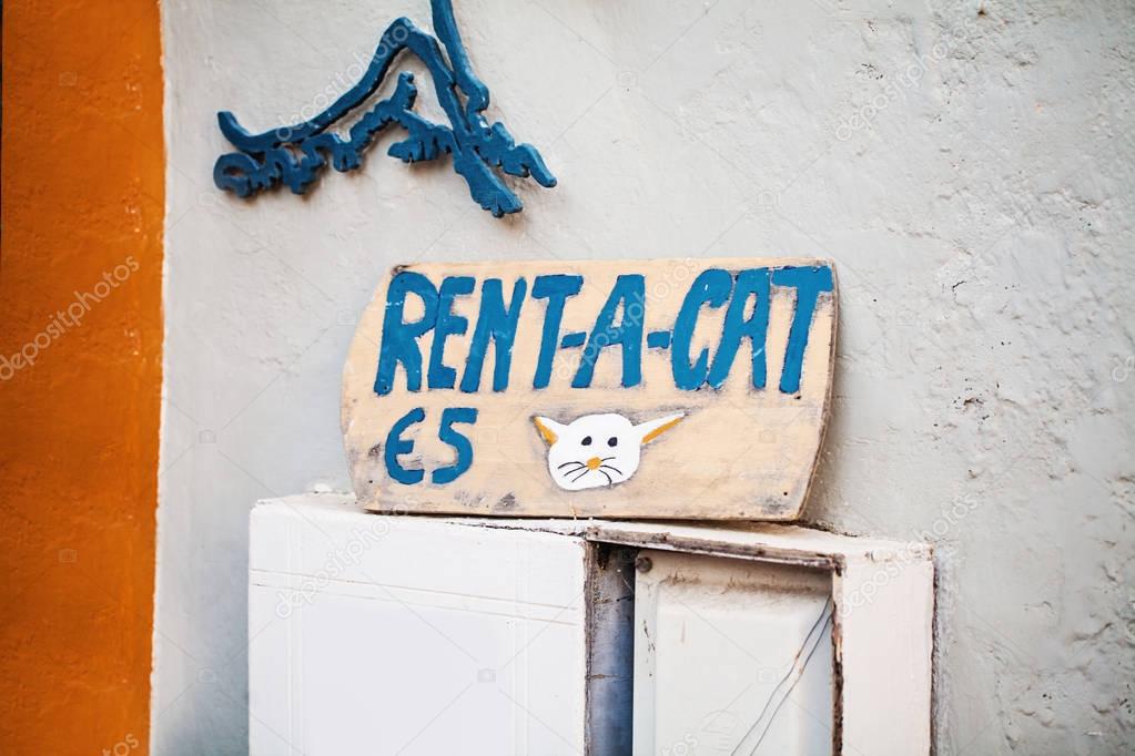 Detail in Oia Town, Santorini Island, Greece. Rent a Cat