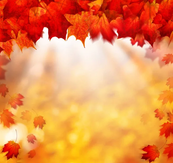 Autumn Background with Golden Bokeh — Stock Photo, Image