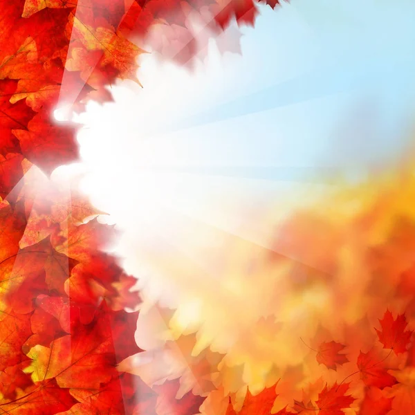 秋もみじ秋の背景の葉は、太陽の光と青い空 — ストック写真