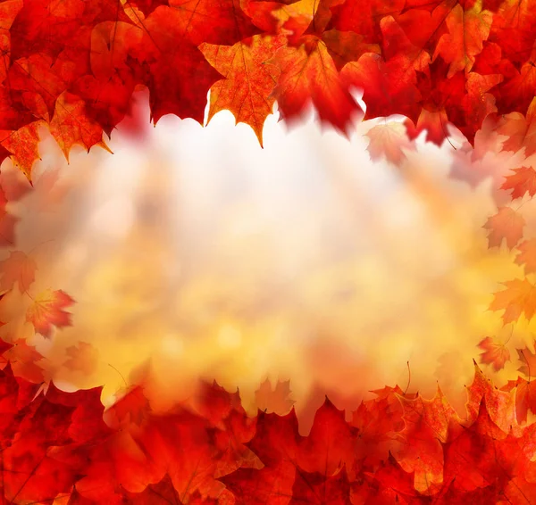 Frontiera di autunno con Golden Bokeh e foglie rosse d'autunno — Foto Stock