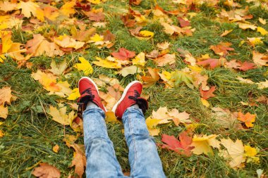 Sonbahar kavramı. Yeşil çimenlerin üzerinde kırmızı ayakkabı giyiyor bacaklar