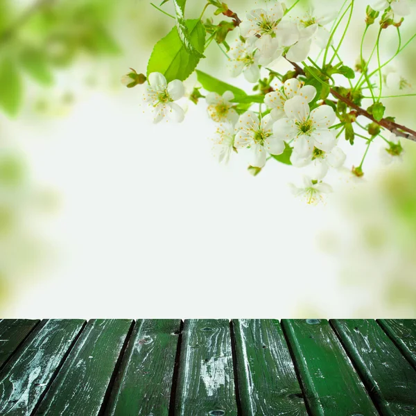 Fondo de tablero de madera verde vacío y flores de primavera — Foto de Stock