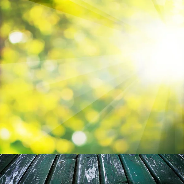 Abstract Green Soft Focus Bokeh, Sunlight and Empty Wooden Board — Stock Photo, Image