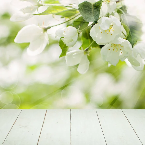Fondo floreale primavera con fiori bianchi, foglie verdi — Foto Stock