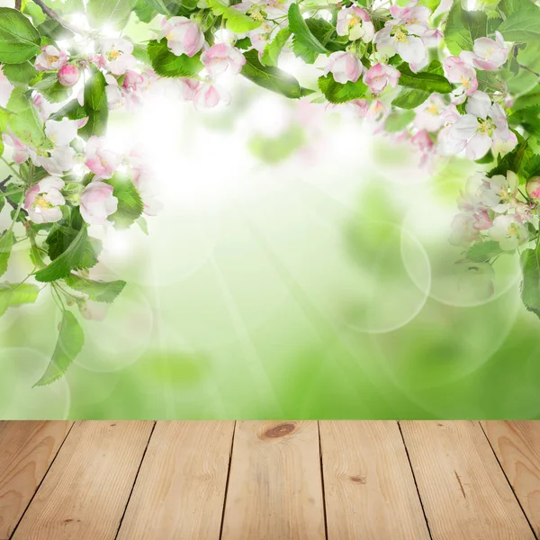 Bright Colorful Background with Spring Flowers, Green Leaves — Stock Photo, Image