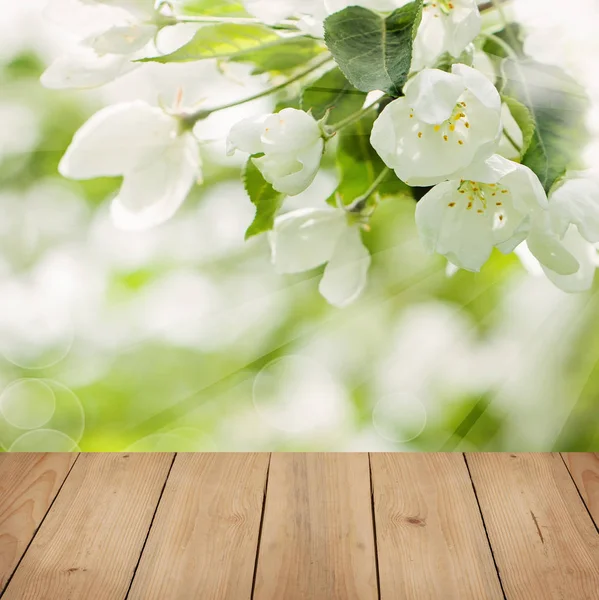 Fondo floral con escaparate de madera vacía. Flores de primavera —  Fotos de Stock
