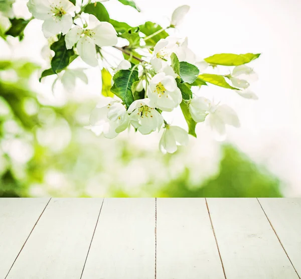 Spring Background with Flowers, Green Leaves — Stock Photo, Image