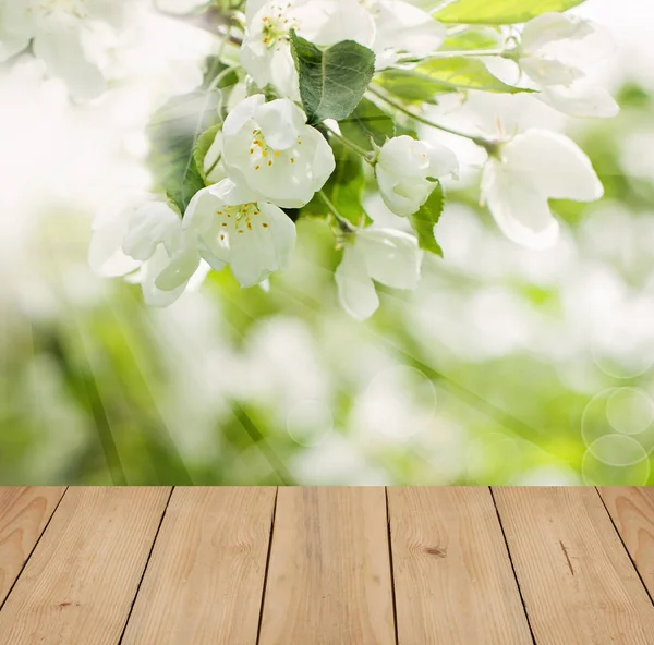 Flores de primavera y hojas verdes con mesa de madera vacía marrón —  Fotos de Stock