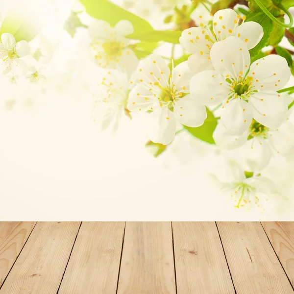 Flores Blancas, Hojas Verdes y Luz Bokeh sobre Blanco — Foto de Stock