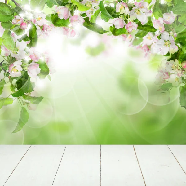 Frühlingsblumen, grüne Blätter, Bokeh Licht und weiße leere hölzerne — Stockfoto