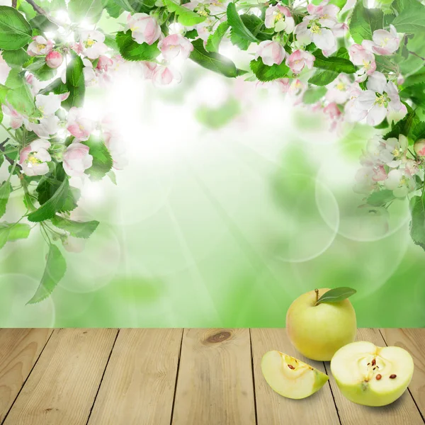 Fondo colorido de flor de primavera con frutas de manzana, flores — Foto de Stock