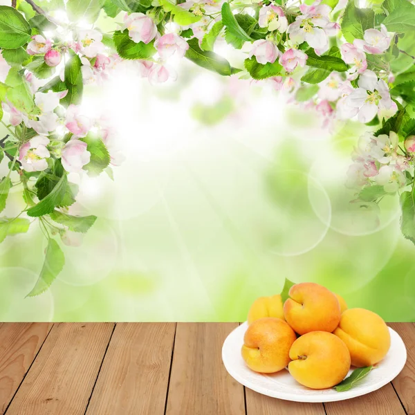 Summer Apricot Fruits on Colorful Background with Green Leaves — Stock Photo, Image
