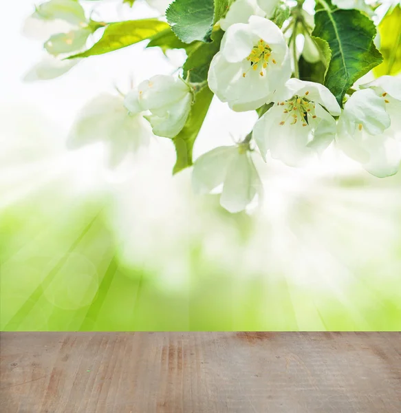 Spring Health Background White Flowers Green Leaves Gray Empty Wooden — Stock Photo, Image