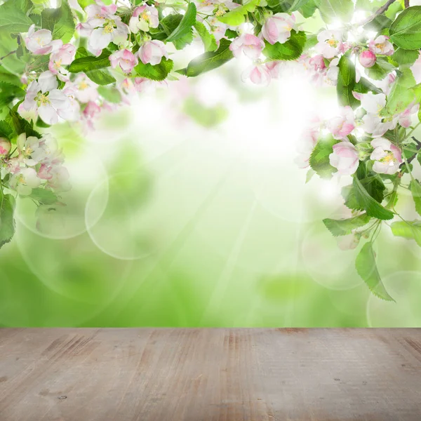 Frühling Apfelblüten Grüne Blätter Abstrakte Bokeh Licht Und Graues Holz — Stockfoto