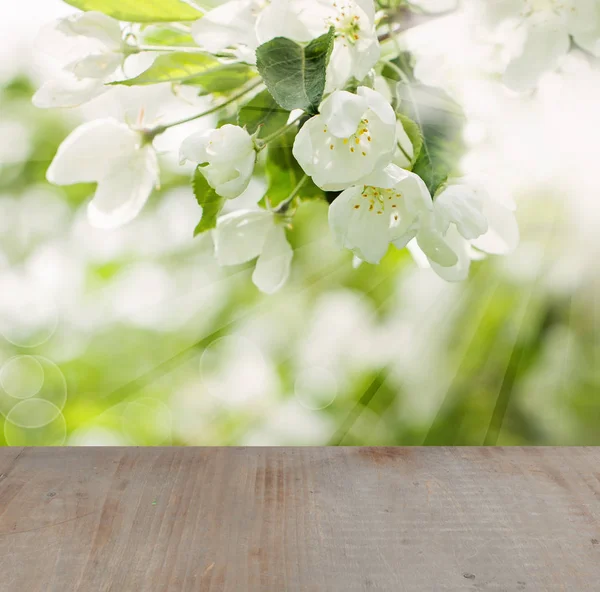 Blütenfrühling Hintergrund Mit Blumen Grünen Blättern Bokeh Licht Und Grau — Stockfoto