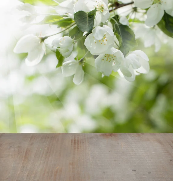 Frühlingsblumen Grüne Blätter Und Grau Leere Holztisch Auf Frühling Gesundheit — Stockfoto