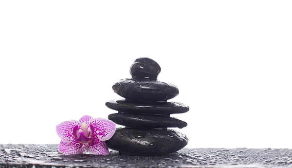 Concepto zen. Piedras negras y flores de orquídea — Foto de Stock