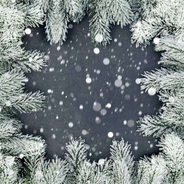 緑のクリスマスツリー小枝と白とクリスマスの国境フレーム — ストック写真